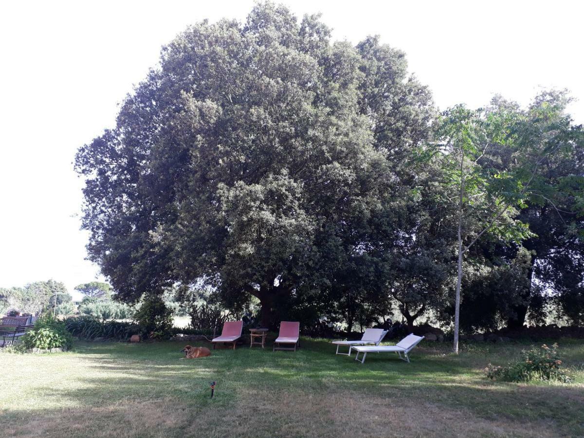 Tenuta Argiano Mesagne Exterior photo